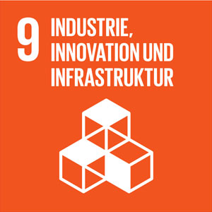 industrie innovation und infrastruktur 9de