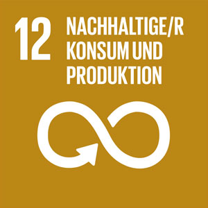 nachhaltiger konsum und produktion 12de