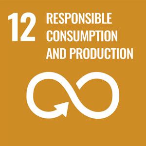 responsible consumption and production