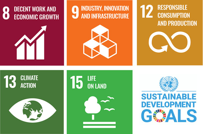 sustainable development goals