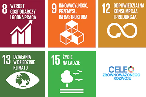 strategia zrównoważonego rozwoju